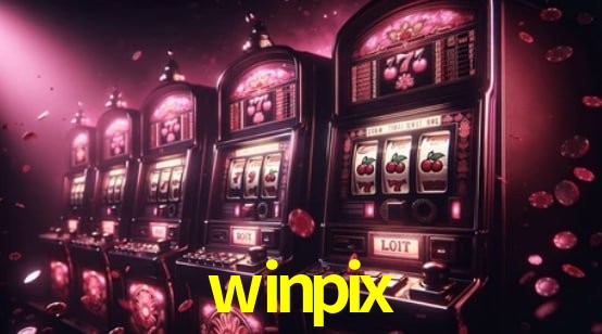 Interface Premium winpix